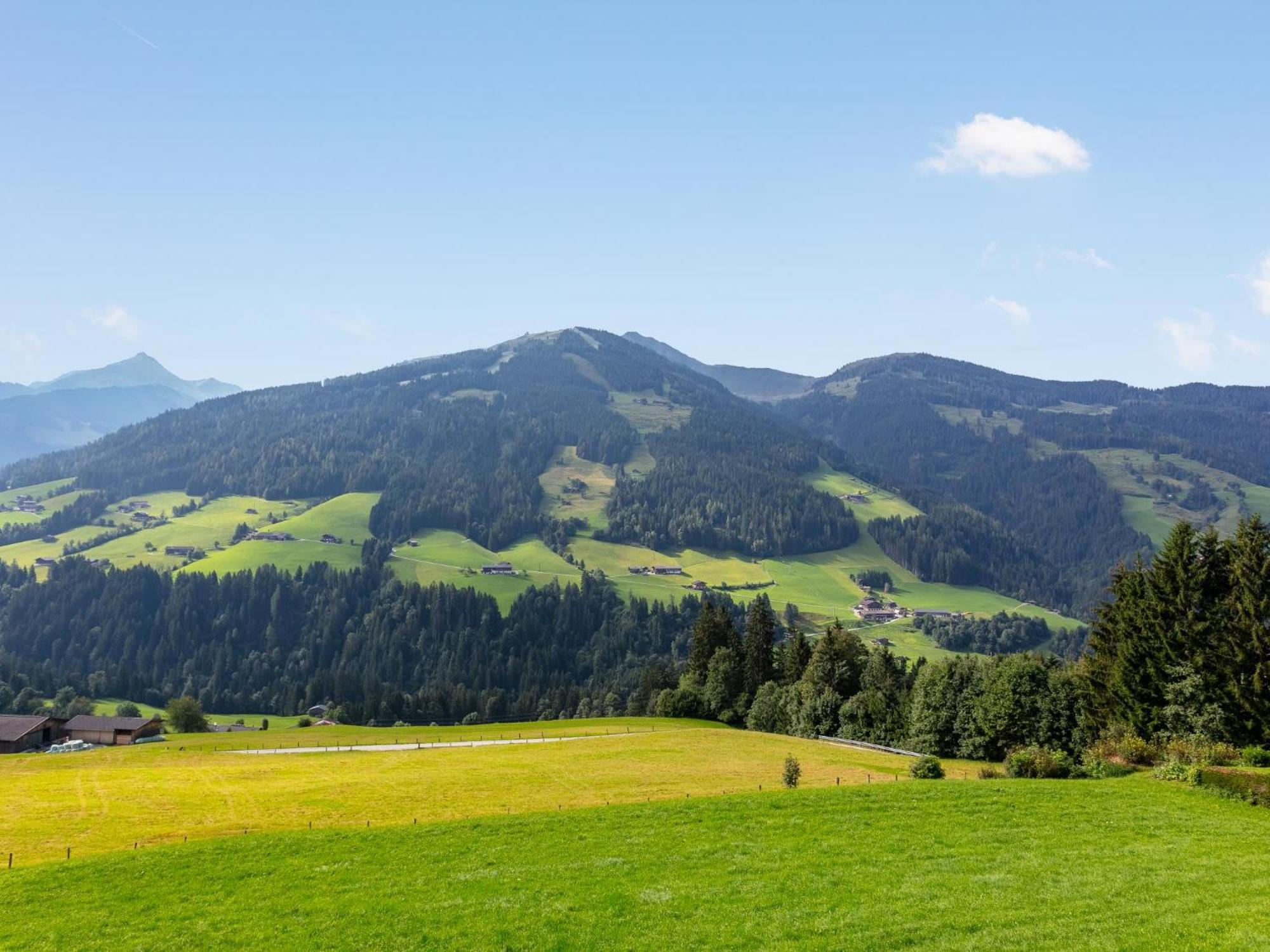 Haus Fernwald Top Jill Und Rens Lejlighed Alpbach Eksteriør billede