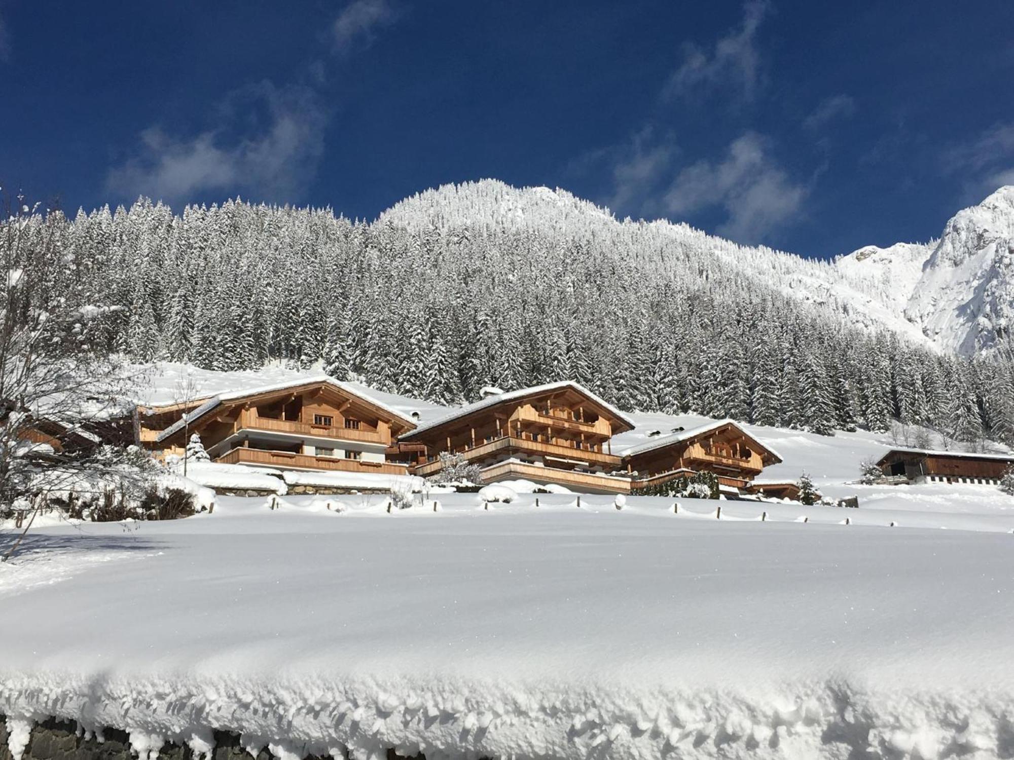 Haus Fernwald Top Jill Und Rens Lejlighed Alpbach Eksteriør billede